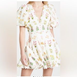 Hemant and Nandita - Mini Dress